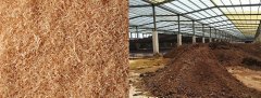 丝瓜视频网站APP免费下载告訴你怎樣用木屑發酵成為生物有機肥